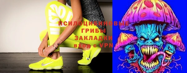 тгк Надым