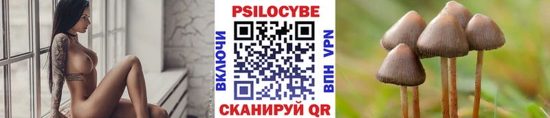 Галлюциногенные грибы Psilocybe  Купить где  Каргополь 